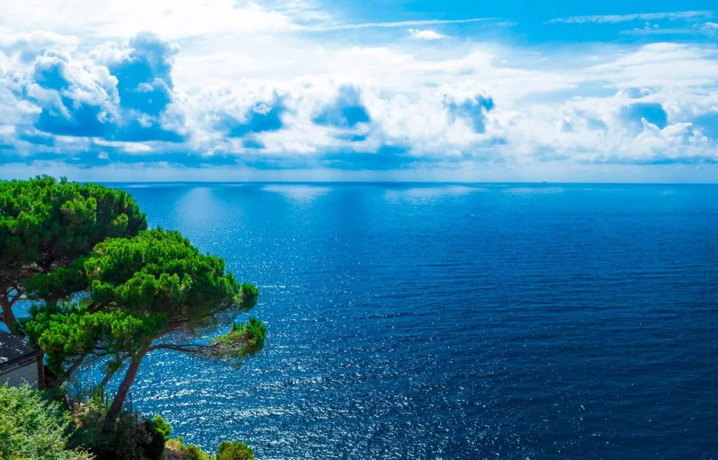 Adriaterhavet med skyer og fyrretræer