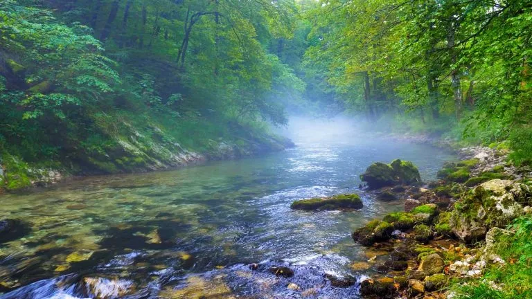 Radovna-floden Slovenien